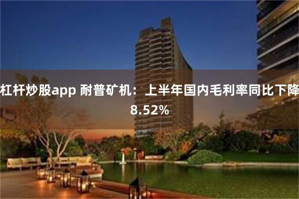 杠杆炒股app 耐普矿机：上半年国内毛利率同比下降8.52%