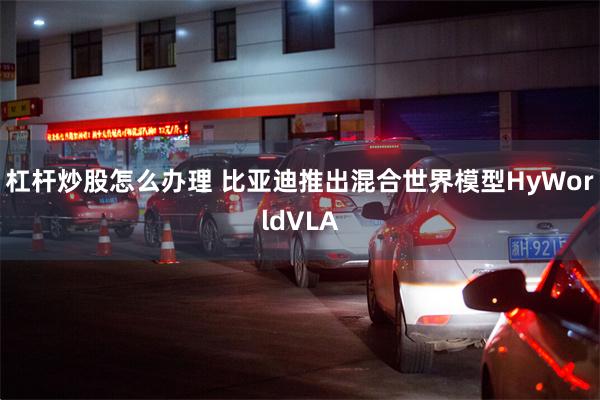 杠杆炒股怎么办理 比亚迪推出混合世界模型HyWorldVLA