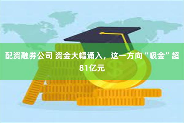 配资融券公司 资金大幅涌入，这一方向“吸金”超81亿元