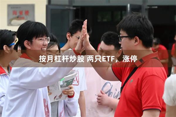 按月杠杆炒股 两只ETF，涨停