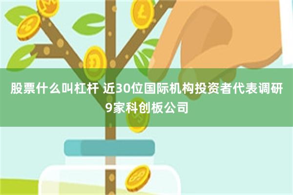 股票什么叫杠杆 近30位国际机构投资者代表调研9家科创板公司