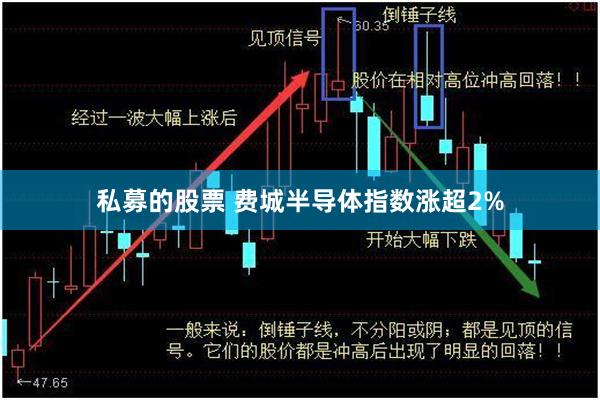 私募的股票 费城半导体指数涨超2%
