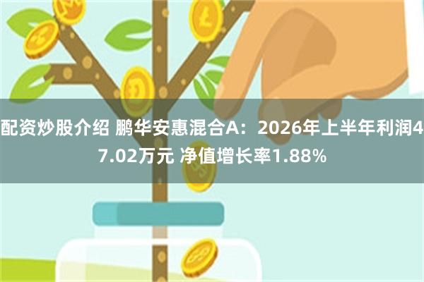配资炒股介绍 鹏华安惠混合A：2026年上半年利润47.02万元 净值增长率1.88%
