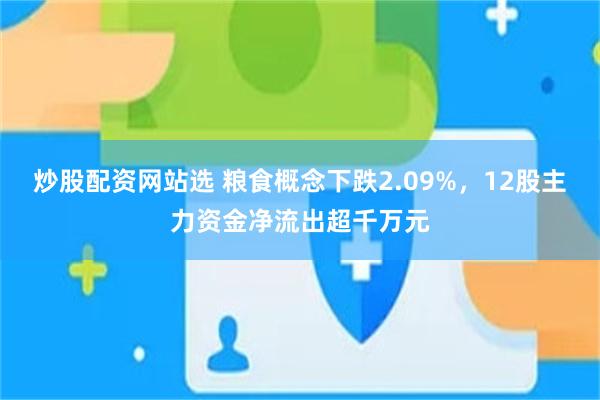炒股配资网站选 粮食概念下跌2.09%，12股主力资金净流出超千万元