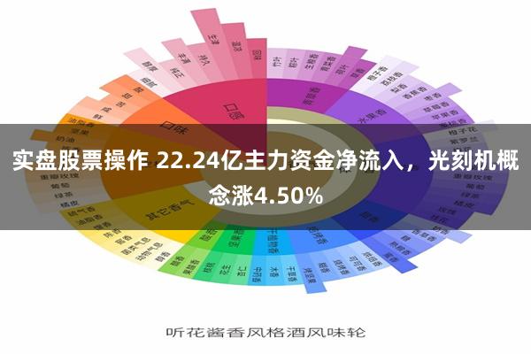实盘股票操作 22.24亿主力资金净流入，光刻机概念涨4.50%