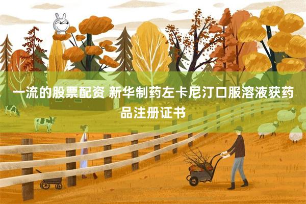 一流的股票配资 新华制药左卡尼汀口服溶液获药品注册证书