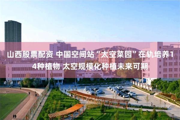 山西股票配资 中国空间站“太空菜园”在轨培养14种植物 太空规模化种植未来可期