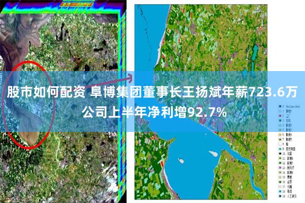 股市如何配资 阜博集团董事长王扬斌年薪723.6万 公司上半年净利增92.7%