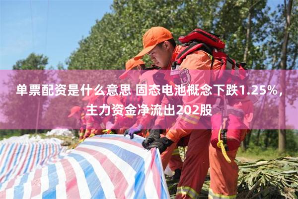 单票配资是什么意思 固态电池概念下跌1.25%，主力资金净流出202股