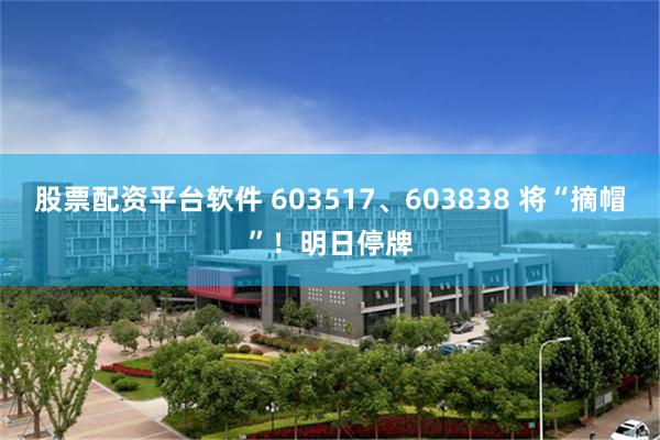 股票配资平台软件 603517、603838 将“摘帽”！明日停牌