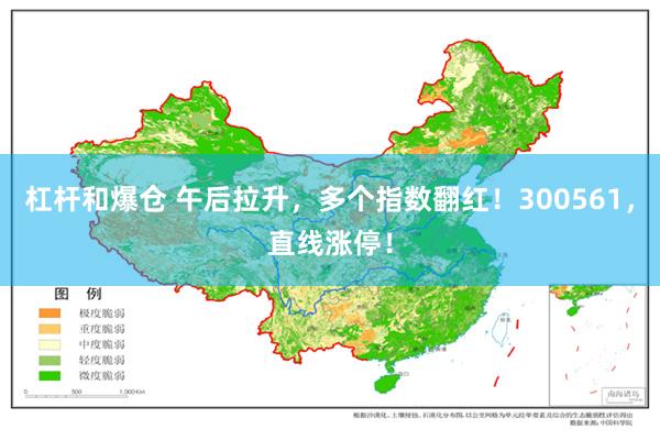 杠杆和爆仓 午后拉升，多个指数翻红！300561，直线涨停！
