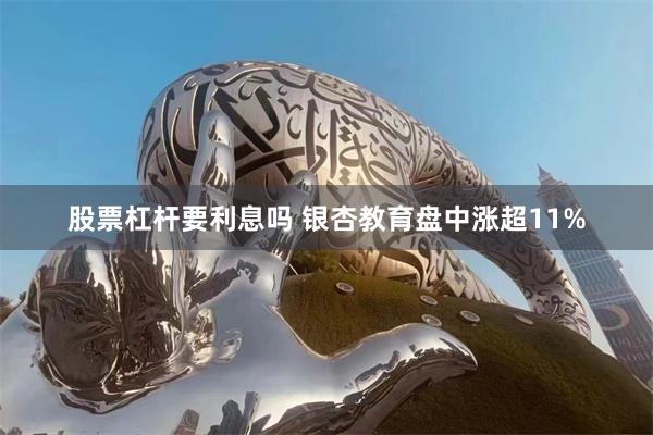 股票杠杆要利息吗 银杏教育盘中涨超11%