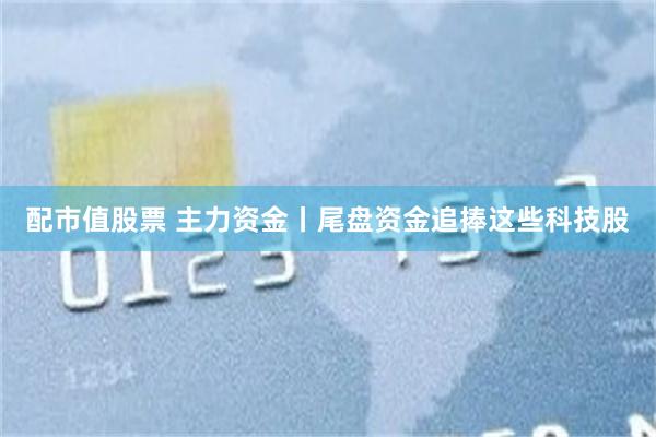配市值股票 主力资金丨尾盘资金追捧这些科技股
